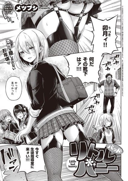 【漫画フルDL】k568agotp02744 | リトルバッドバニー | メツブシ